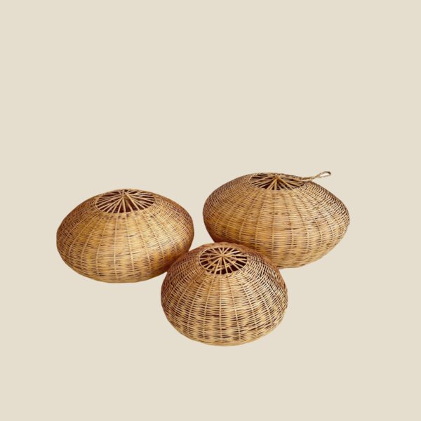 517 - DECORATIVE LIGHTING
