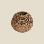 516 - DECORATIVE LIGHTING