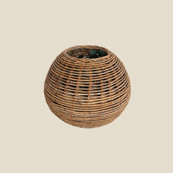 516 - DECORATIVE LIGHTING