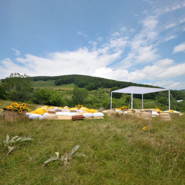 475 - CANOPIES