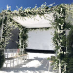 420 - CANOPIES