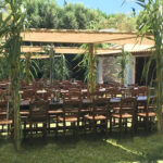 445 - CANOPIES
