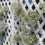 1 ROOM DIVIDERS